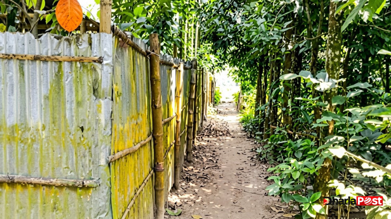 ফুলবাড়ীতে শত বছরের রাস্তা এখন এতটাই সরু, লাশের খাটলিও যায় না