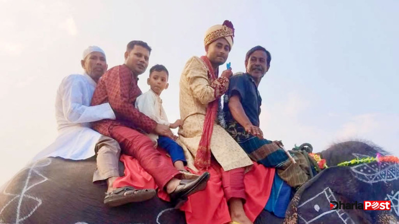 মায়ের শখ পূরণে হাতির পিঠে চড়ে বিয়ের আসরে সাকিব