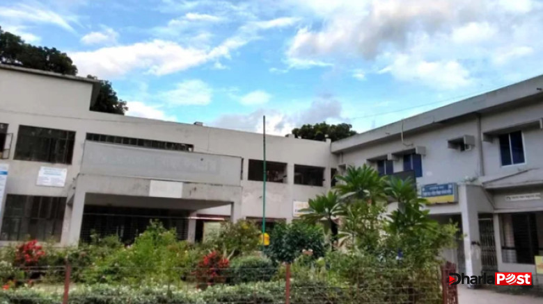 রংপুরে এক কুকুরের কামড়ে ৪০ জন আহত