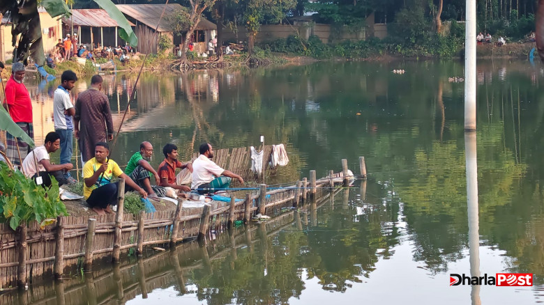 ফুলবাড়ীতে দুই দিন মাছ শিকার, উঠল না টিকিটের দাম